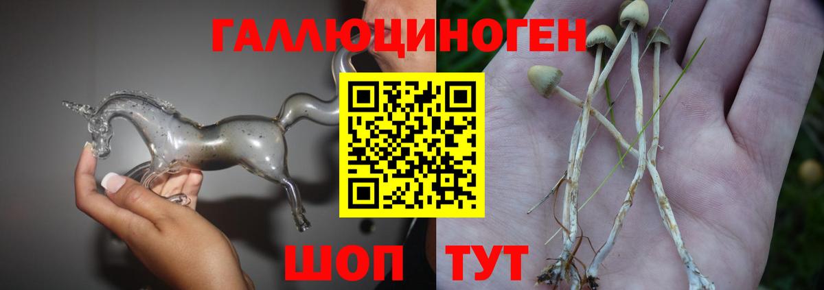 Псилоцибиновые грибы MAGIC MUSHROOMS  Вход с VPN  Майкоп  Галлюциногенные грибы GOLDEN TEACHER 